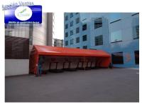 Venta de carpa anaranjada
